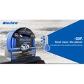 Air Hoses and Reels | BluBird BB1225 BluBird 1/2 in. x 25 ft. Rubber Air Hose image number 2