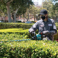 Free Makita Cordless Hedge Trimmer | Makita GHU02Z 40V max XGT Brushless Lithium-Ion 24 in. Cordless Hedge Trimmer (Tool Only) image number 6