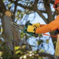 Clearance Center | Makita GCU03M1 40V MAX XGT Brushless Lithium-Ion Cordless 16 in. Top Handle Chain Saw Kit (4 Ah) image number 11