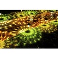 Clearance Center | Black & Decker BDSLPT8P (8-Pack) Outdoor Solar Path Lighting image number 9
