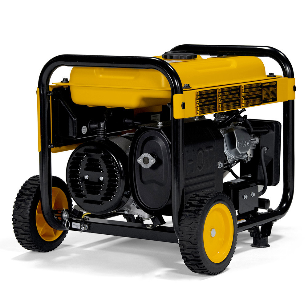 Dewalt DXGNR4000 4000 Watt 223cc Portable Gas Generator PMC164000