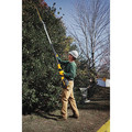 Dewalt dcht895b store