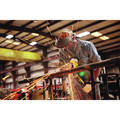 Rotary Tools | Dewalt DWE46266N 6 in. Brushless Adjustable Cutoff Tool image number 5