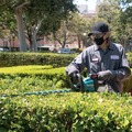 Makita Appreciation Week! Save 10%! | Factory Reconditioned Makita GHU03Z-R 40V max XGT Brushless Lithium-Ion 30 in. Cordless Hedge Trimmer (Tool Only) image number 6