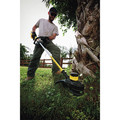 Dewalt dcst920p1r online