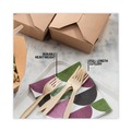  | Pactiv Corp. YPSMFTEC EarthChoice PSM Heavyweight Plastic Cutlery Fork - Tan (1000/Carton) image number 7