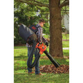  | Black & Decker BEBL7000 VACPACK 120V/240V 12 Amp Corded 3-in-1 Leaf Blower/Vacuum/Mulcher image number 6