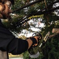 Chainsaws | Makita ADCU10Z Outdoor Adventure 18V LXT Lithium-Ion 12 in. Cordless Top Handle Chain Saw (Tool Only) image number 11