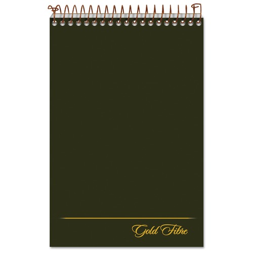 July Member-Exclusive Offer Save 10% off on One Item | Ampad 20-806R Gold Fibre 6 in. x 9 in. Spiral Steno Book - Gregg, Green/Gold Cover/White Pad (100 Sheets/Pad) image number 0