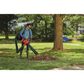  | Black & Decker BEBL7000 VACPACK 120V/240V 12 Amp Corded 3-in-1 Leaf Blower/Vacuum/Mulcher image number 12