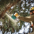 Clearance Center | Makita XCU08Z 18V X2 (36V) LXT Lithium-Ion Brushless Cordless 14 in. Top Handle Chain Saw (Tool Only) image number 12