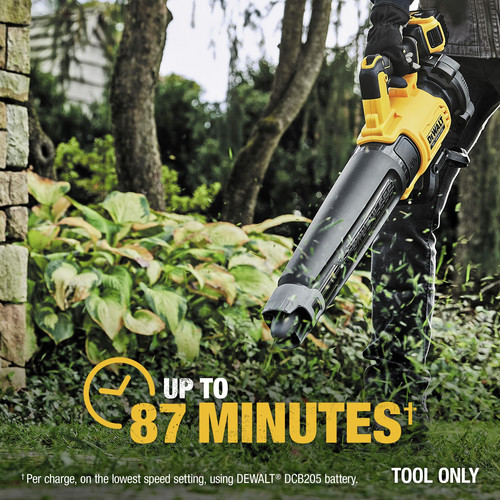 Dewalt dcbl722b online 20v max xr