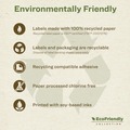 July Member-Exclusive Offer Save 10% off on One Item | Avery 48263 2 in. x 4 in. EcoFriendly Mailing Labels for Inkjet/Laser Printers - White (10/Sheet, 25 Sheets/Pack) image number 3