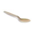  | Pactiv Corp. YPSMSTEC 5.88 in. EarthChoice PSM Heavyweight Cutlery Spoon - Tan (1000/Carton) image number 1