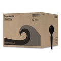 Percentage Off | Boardwalk BWKSPOONHWBLA Heavyweight Polystyrene Teaspoon Cutlery - Black (1000/Carton) image number 0