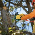 Chainsaws | Makita GCU03Z 40V MAX XGT Brushless Lithium-Ion Cordless 16 in. Top Handle Chain Saw (Tool Only) image number 10