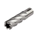 Save up to $40 off on Select DEWALT Bare Tools | Dewalt DWAC02013 13/16 in. x 2 in. High Speed Steel Annular Cutter 3/4 in. Weldon image number 2