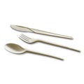  | WNA EPS003 7 in. EcoSense Renewable Plant Starch Cutlery Spoon (50/Pack) image number 2