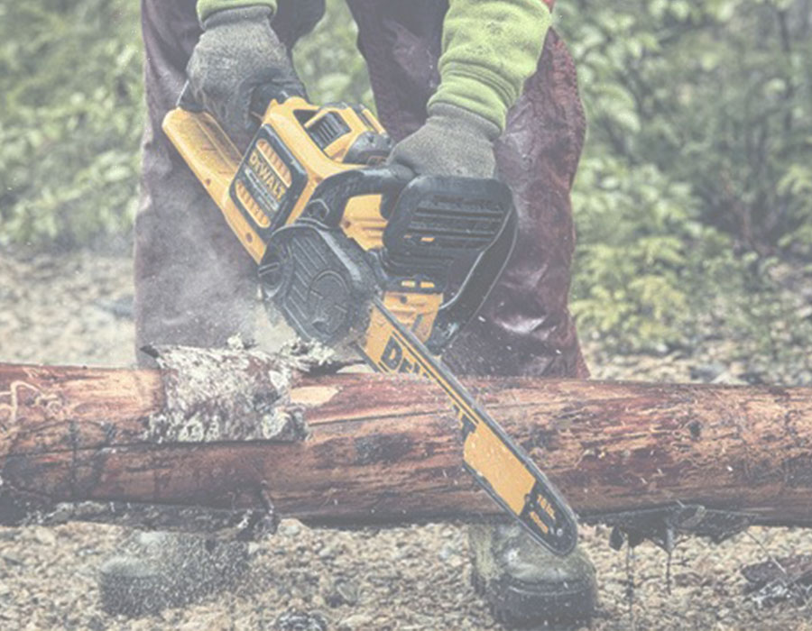 Gear Up for Spring with Dewalt