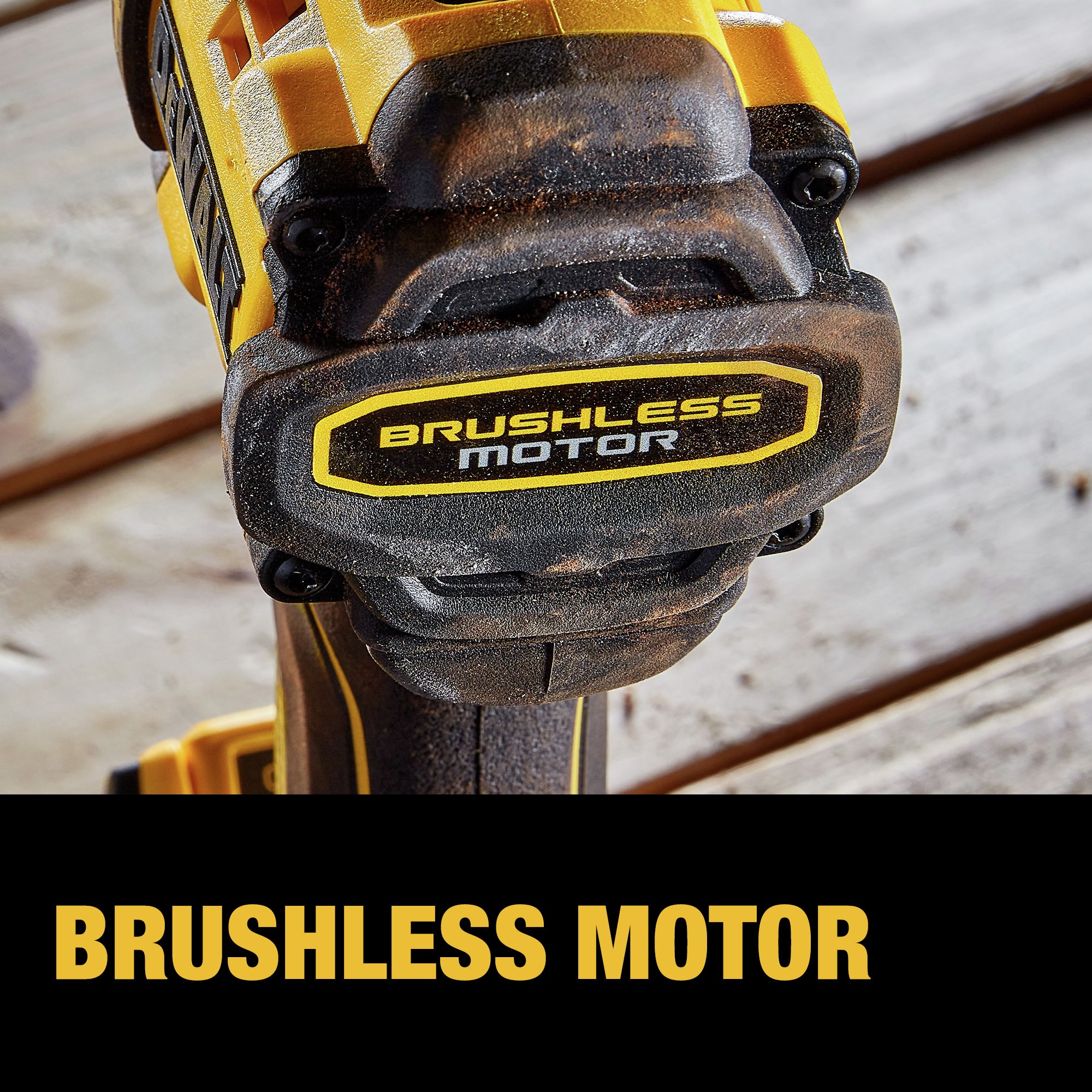 Brushless Motor